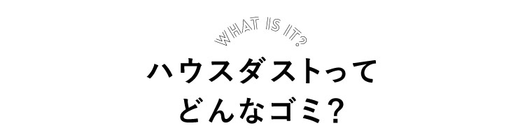 ハウスダストってどんなゴミ?